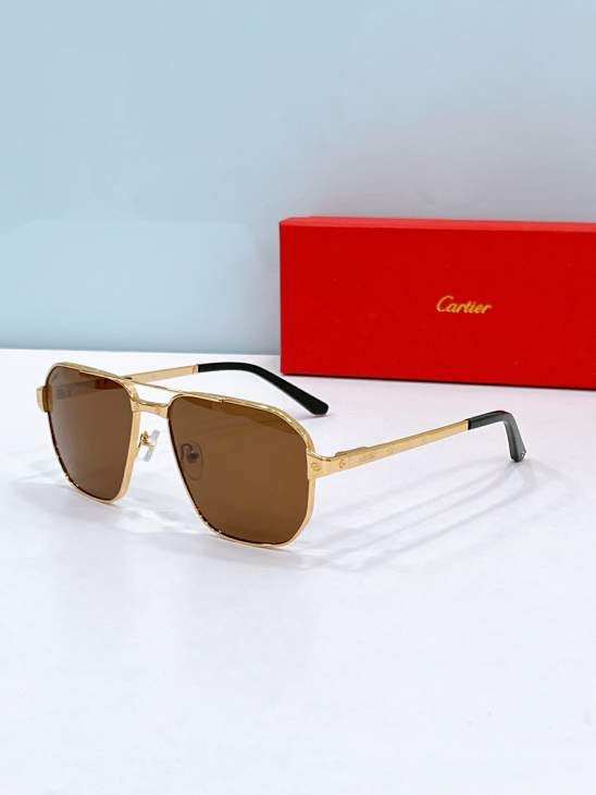 Picture of Cartier Sunglasses _SKUfw79566724fw